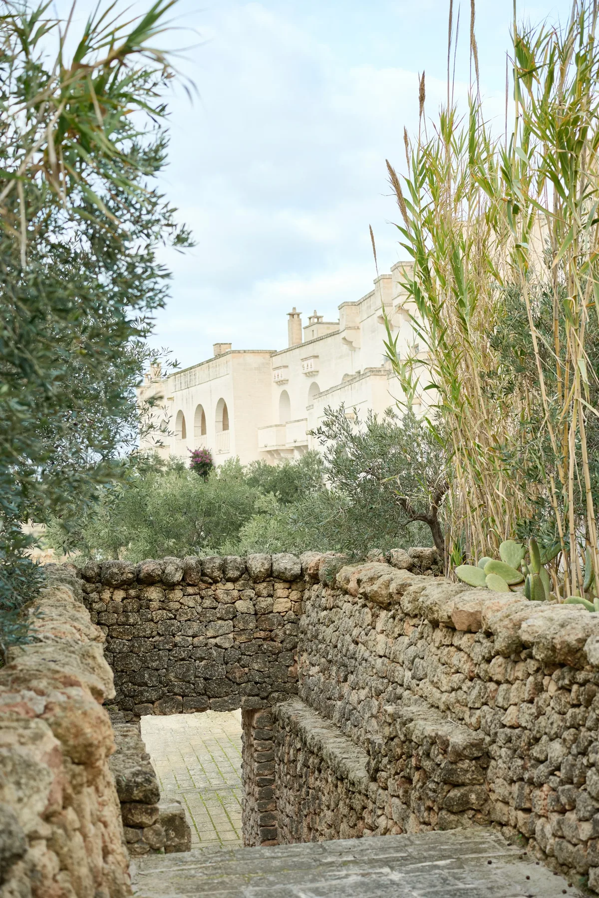 Muretti a secco, palme e canne nel giardino, con il borgo sullo sfondo