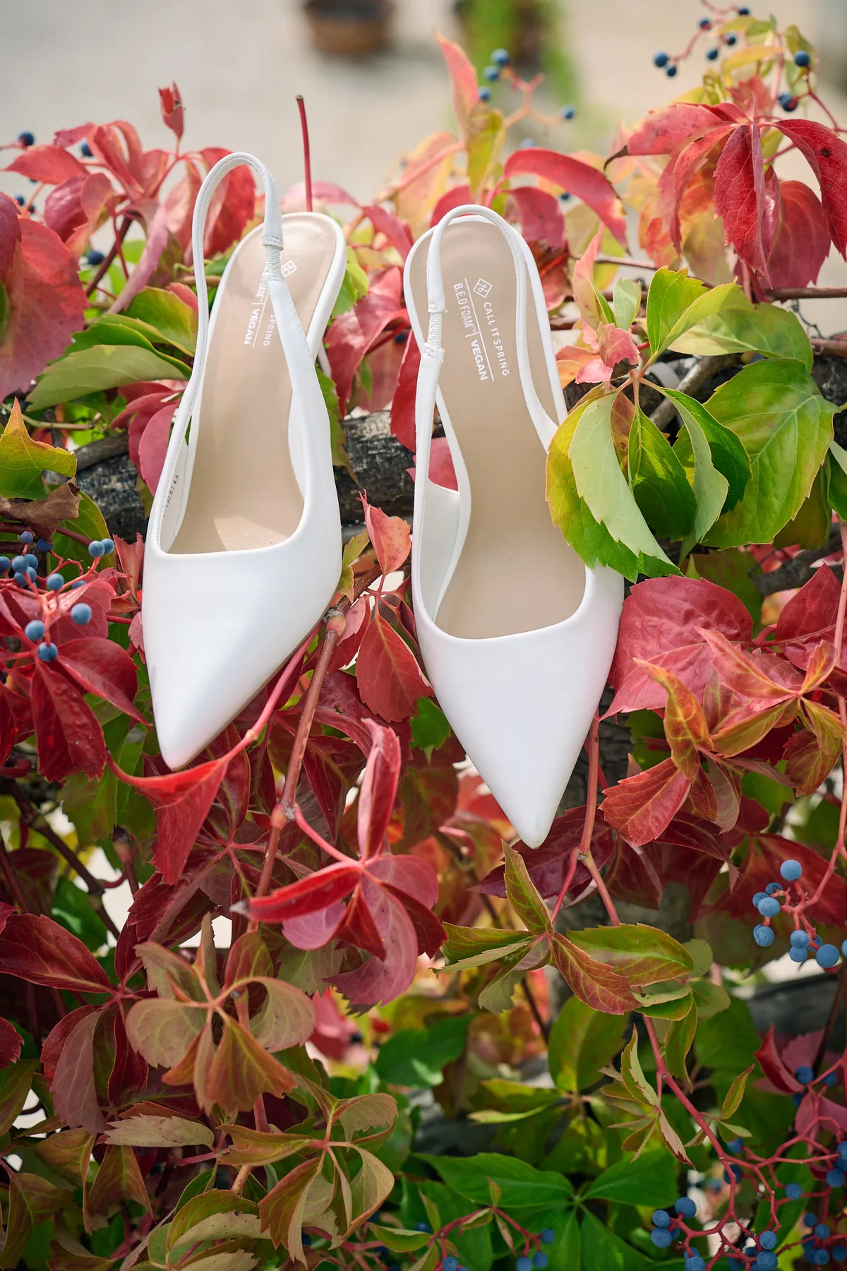 The bride’s white shoes among red vine leaves