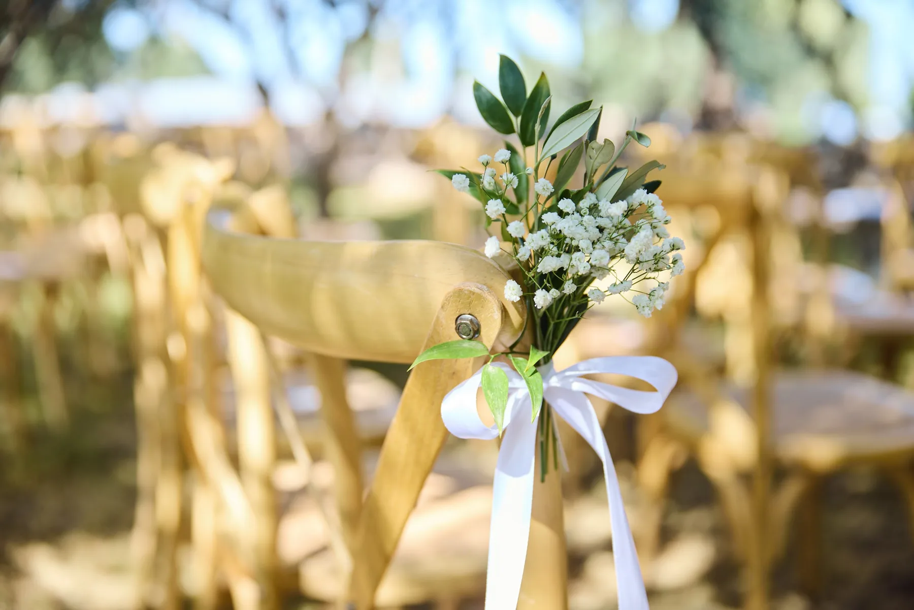 A flower on a ceremony chair in the olive grove