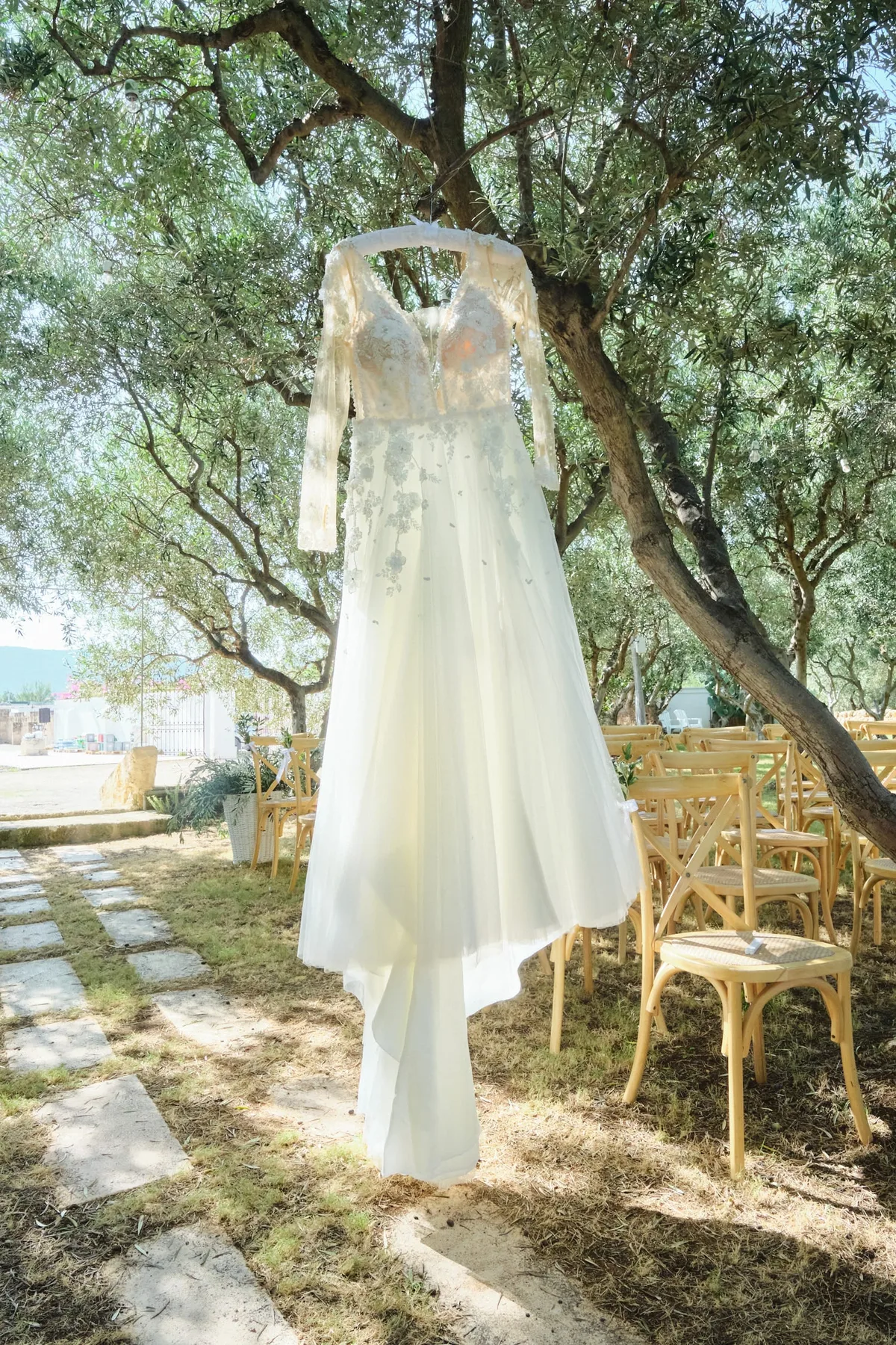 The wedding dress hanging from an olive tree
