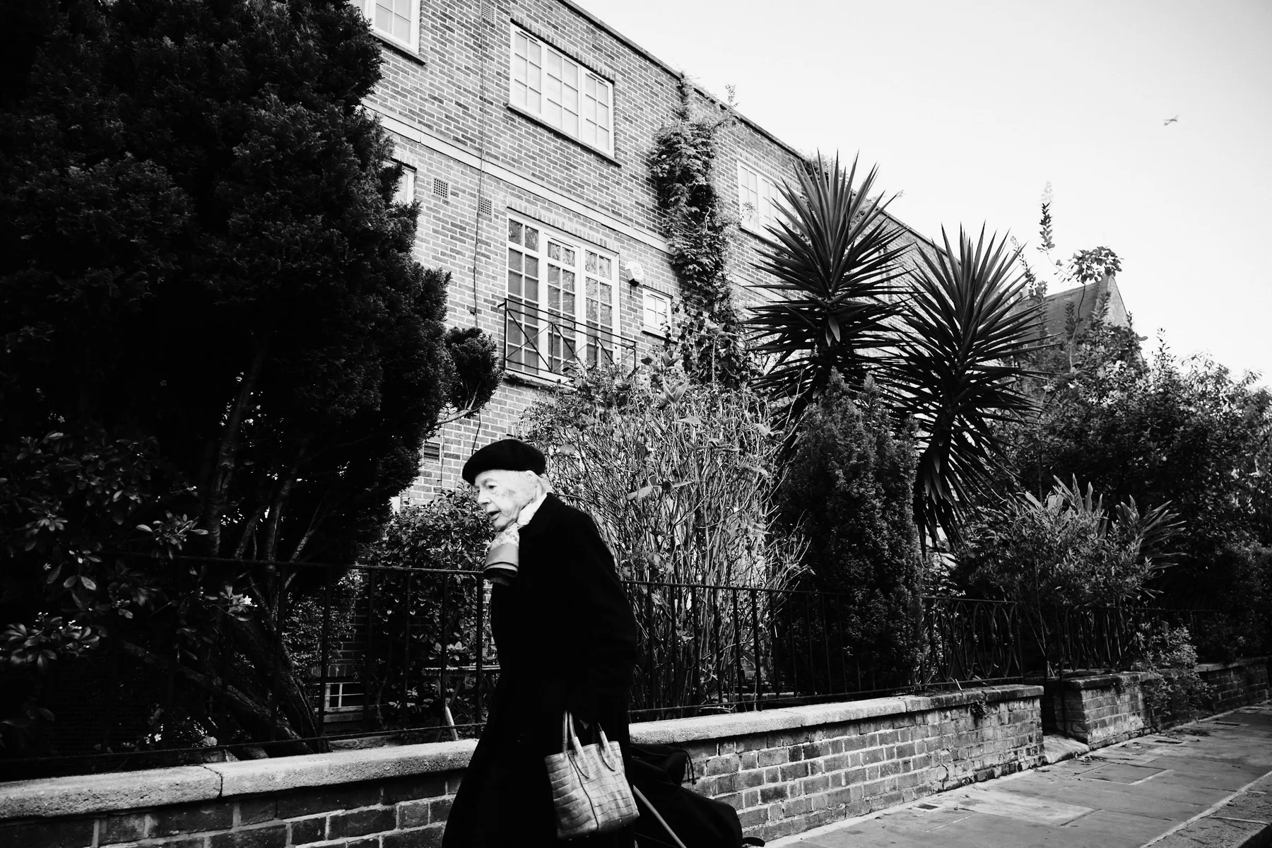 Un passante con il cappello davanti a un giardino di palme
