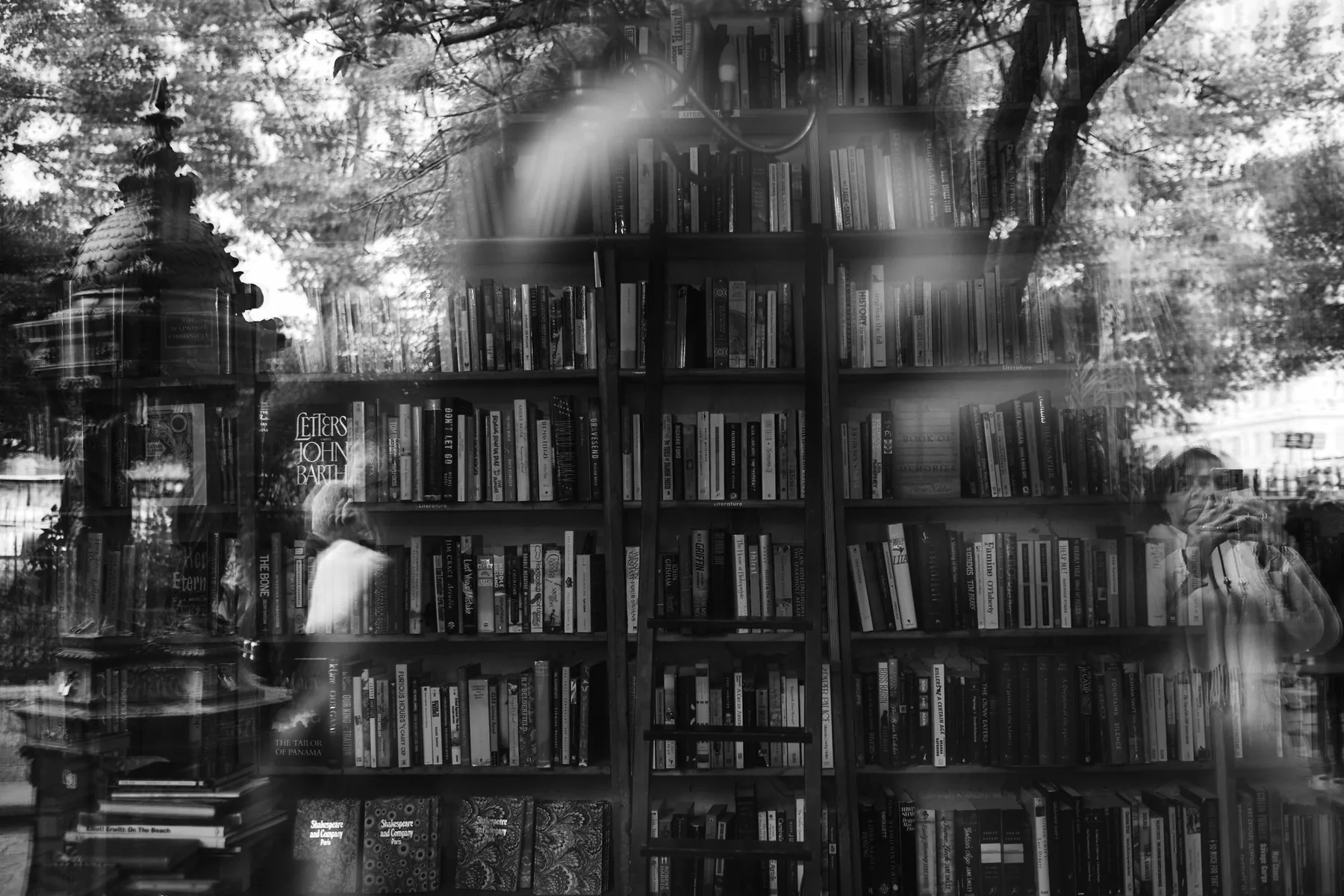 Gli scaffali di libri tra i riflessi della vetrina