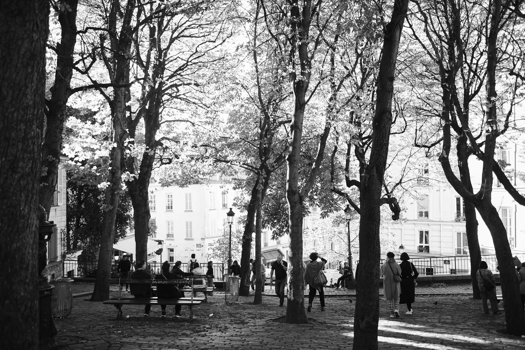 Una piazzetta alberata di Montmartre nella luce del mattino, in bianco e nero