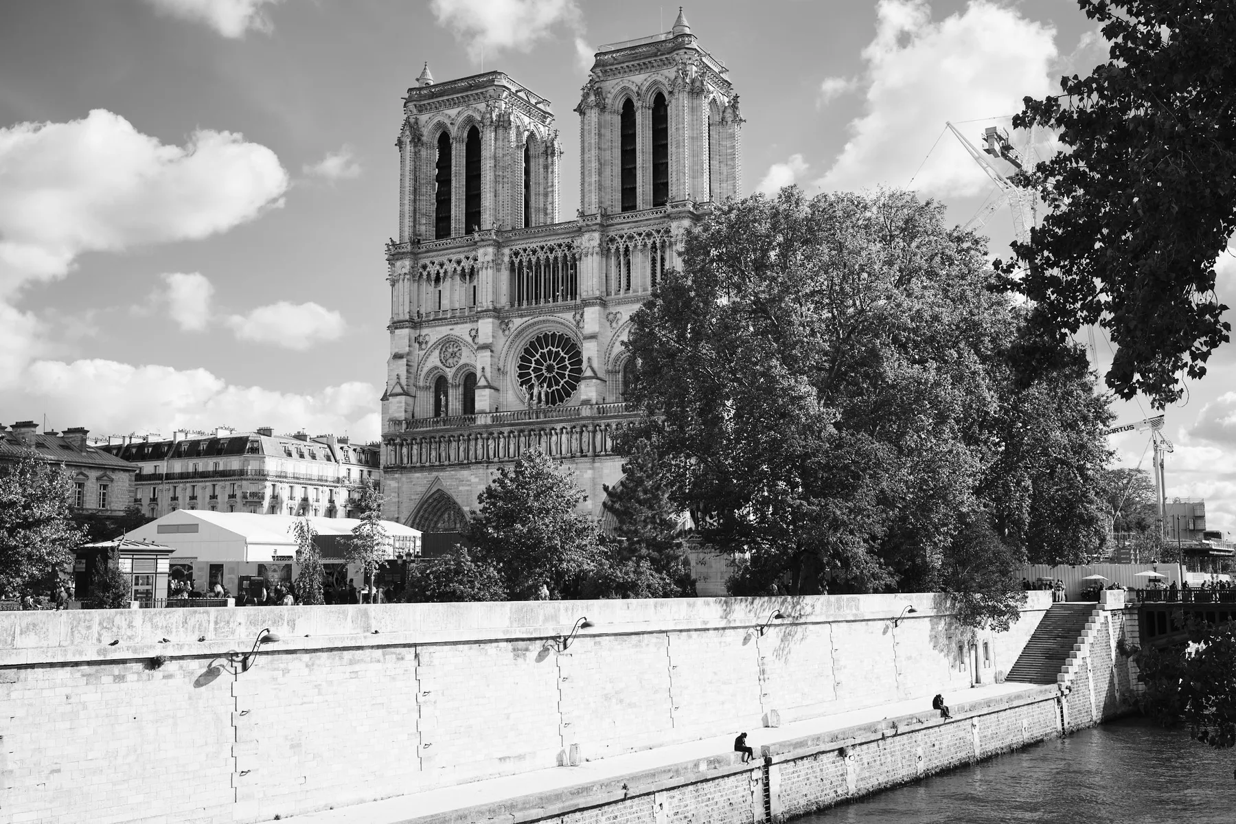 Notre-Dame vista dalla Senna